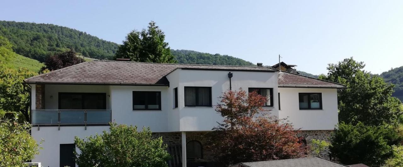Ferienhaus Johanna Spitz an der Donau Luaran gambar
