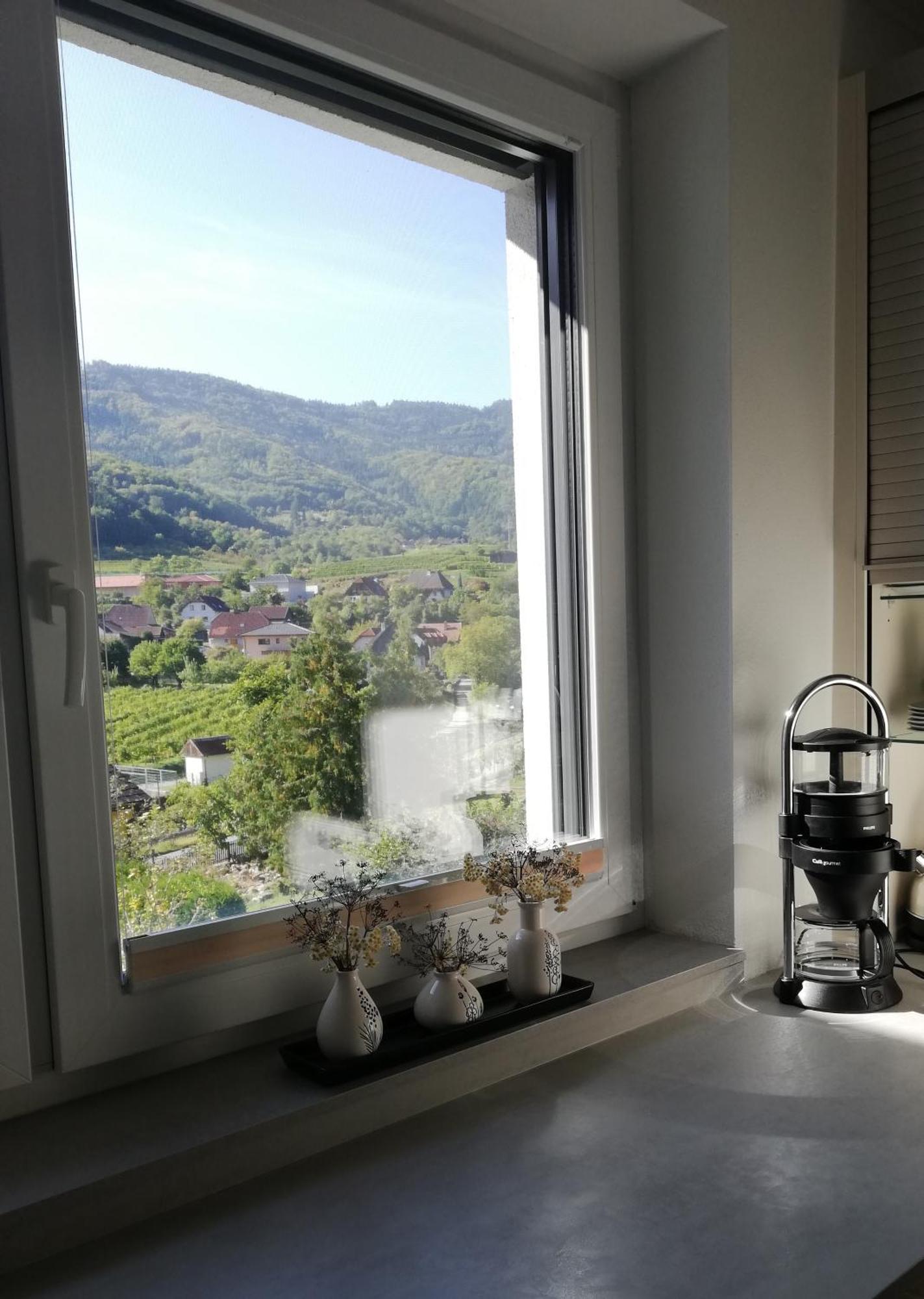 Ferienhaus Johanna Spitz an der Donau Luaran gambar